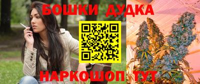 прущие грибы Моздок