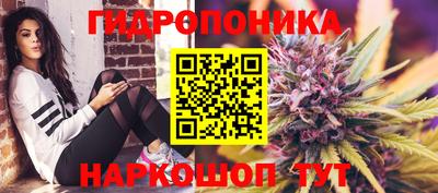 мдпв Нальчик